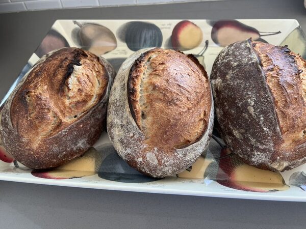 Three country loaves
